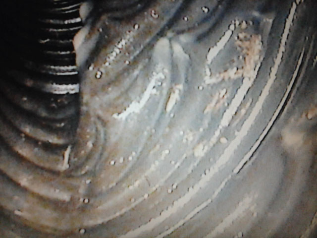 Drains français