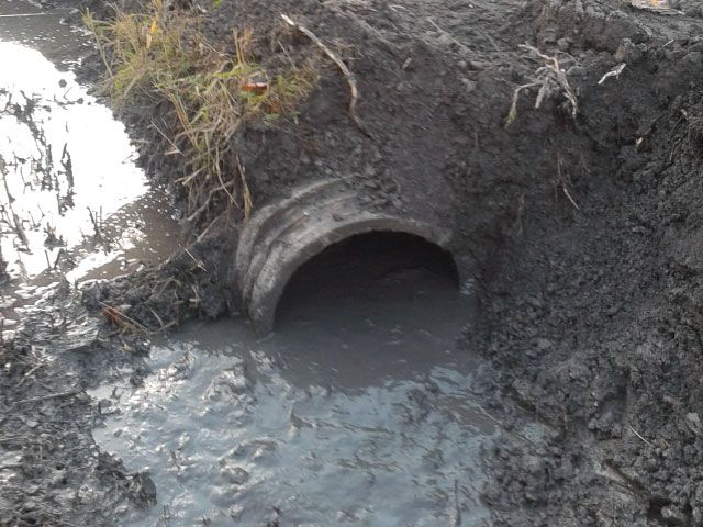 Drains français